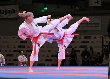 نرم افزار آموزش کاراته